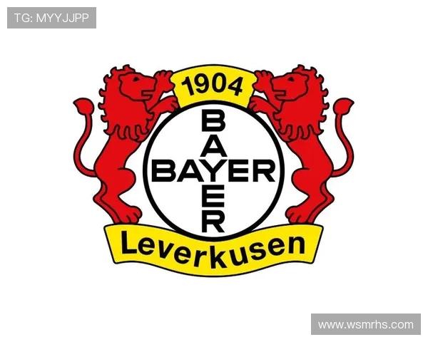 德甲各球队标志：德甲各大球队的标志与设计分析