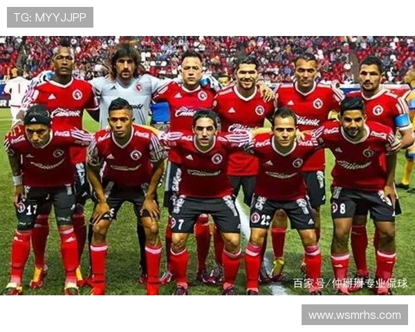 法甲球员表现总结报告：各位置球员平均水平统计